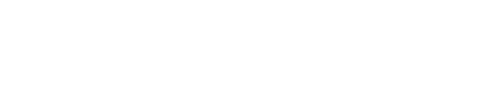 Brumaq Informática e Sistemas — logotipo